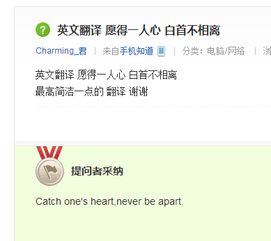 誰(shuí)幫我翻譯成英文